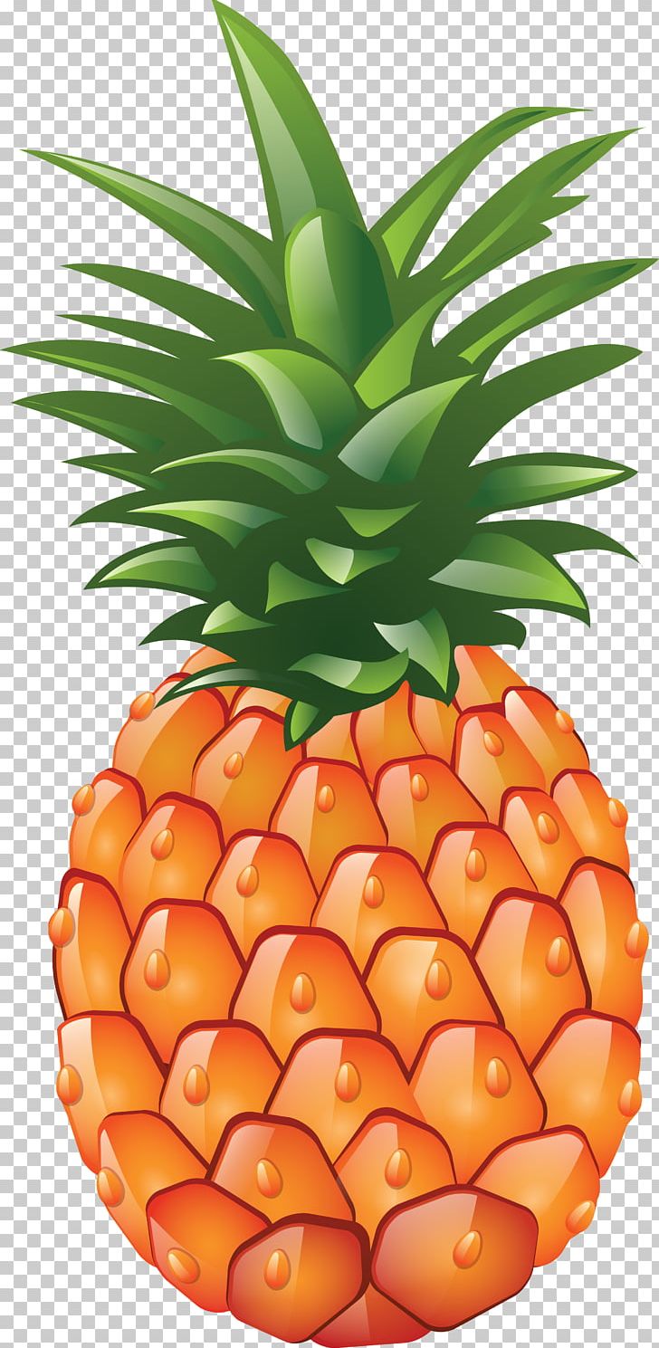 728x1489 Juice Pineapple Icon Png, Clipart, Ananas, Bromeliaceae, Computer