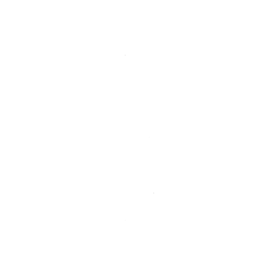 256x256 White Pineapple Icon