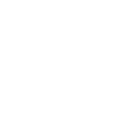 256x256 White Ping Pong Icon