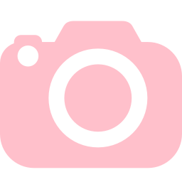 256x256 Free Pink Slr Camera Icon