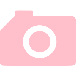 256x256 Pink Camera Icon