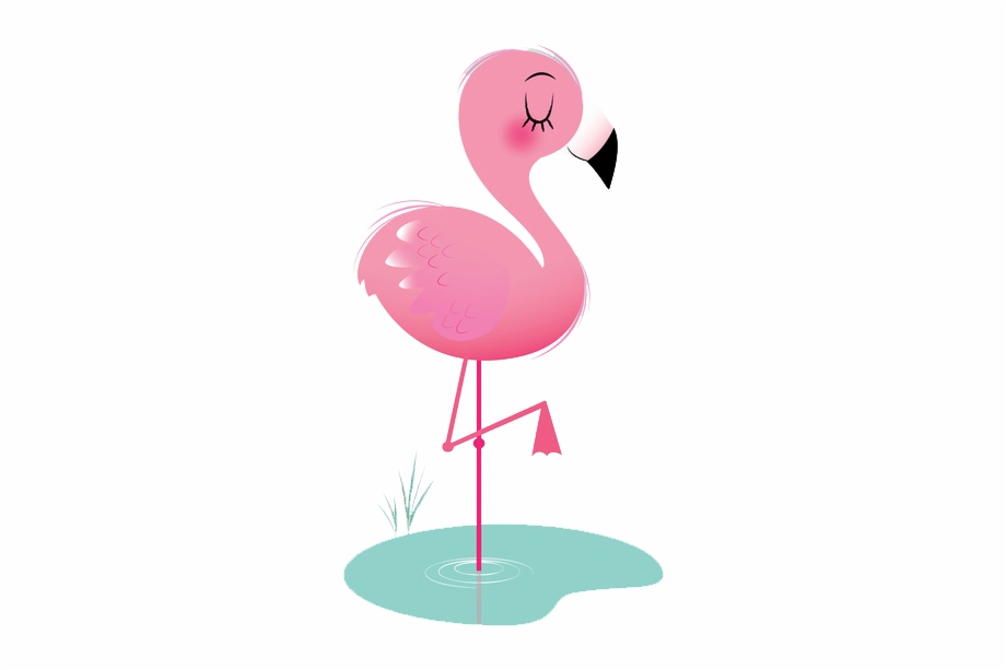 920x613 Flamingo Png