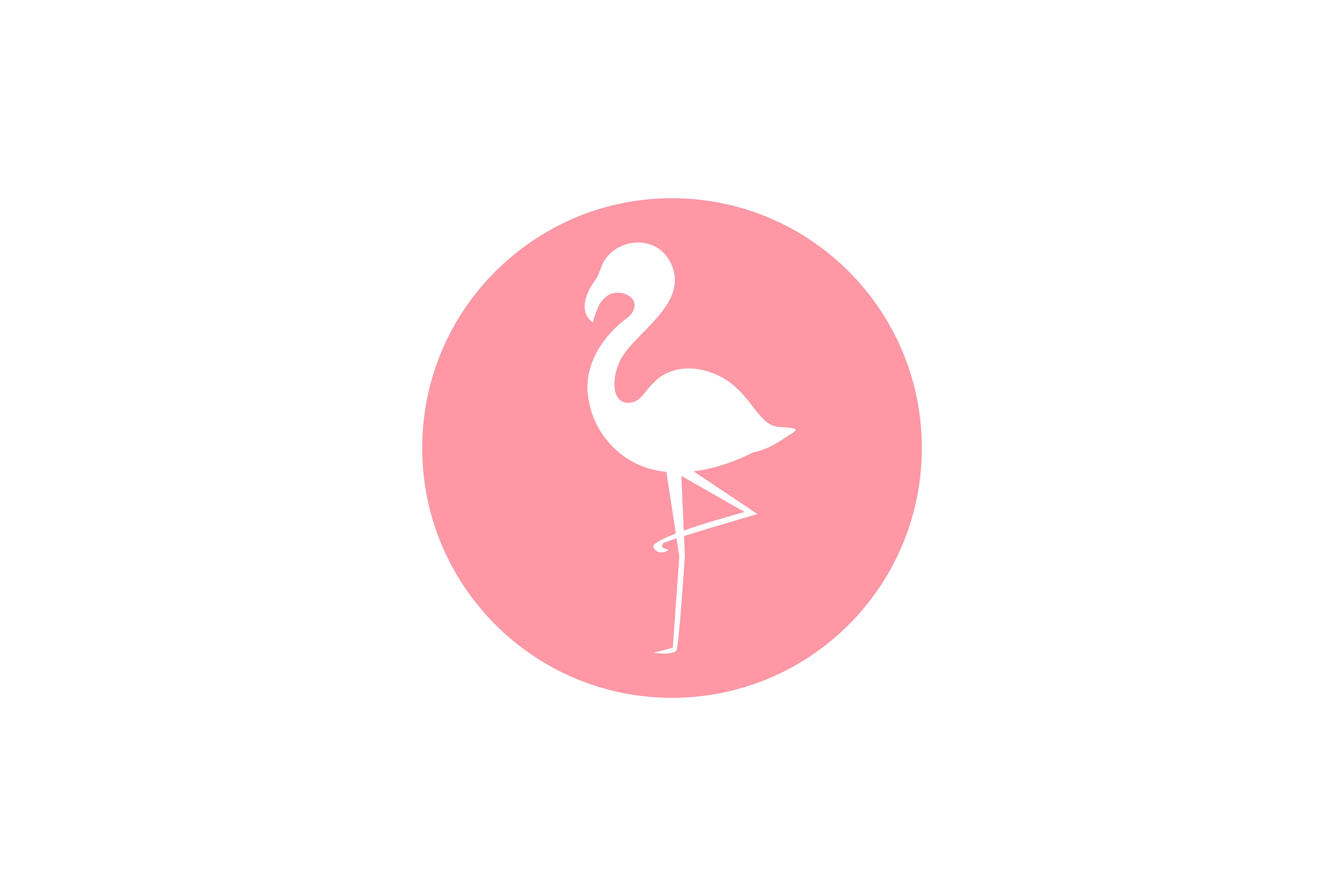 9375x6250 Flamingo Icon Graphic