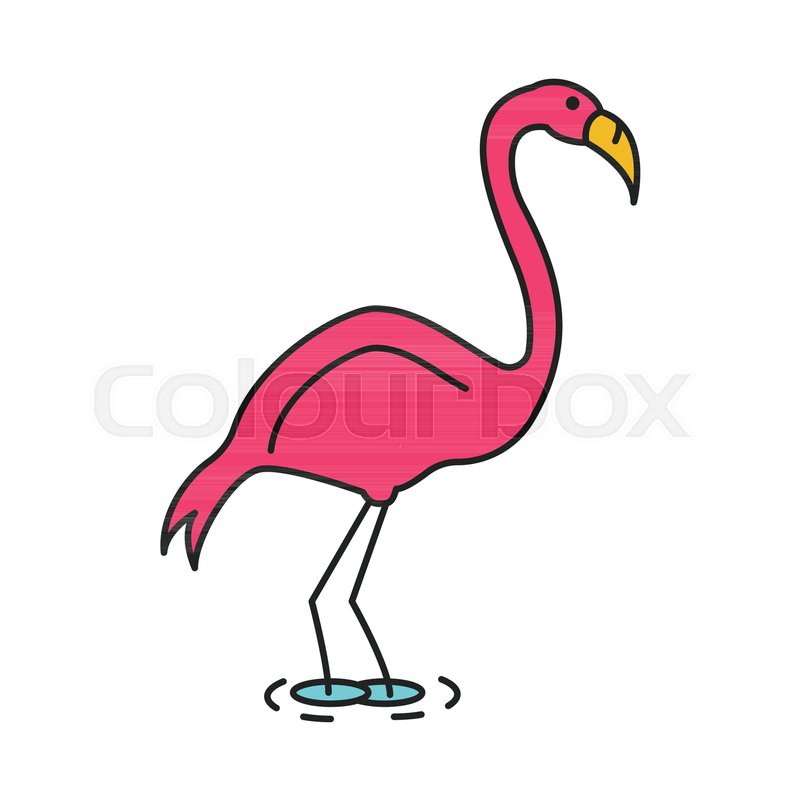 800x800 Flamingo Icon Cartoon Flamingo Vector Stock Vector Colourbox