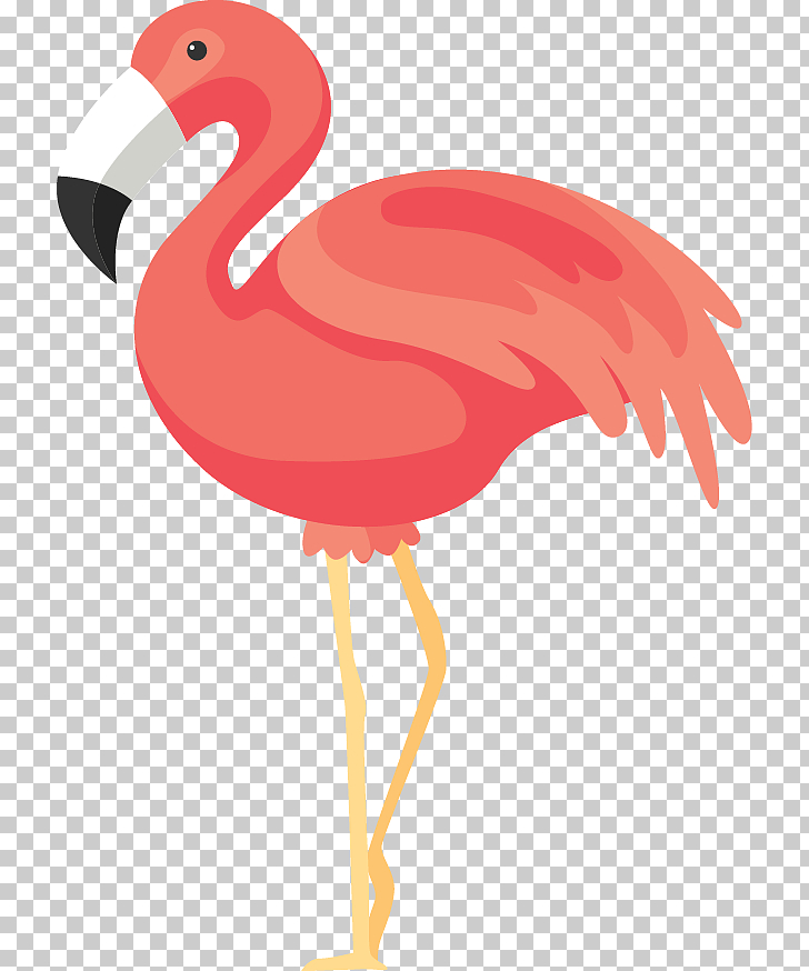 728x874 Flamingos Rendering Icon, Flamingos, Pink Flamingo Png Clipart