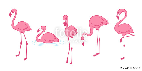 500x250 Cartoon Pink Flamingo Vector Set Icon Cute Flamingos Collection