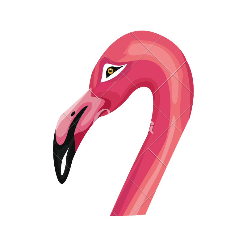 800x800 Pink Flamingo Icon