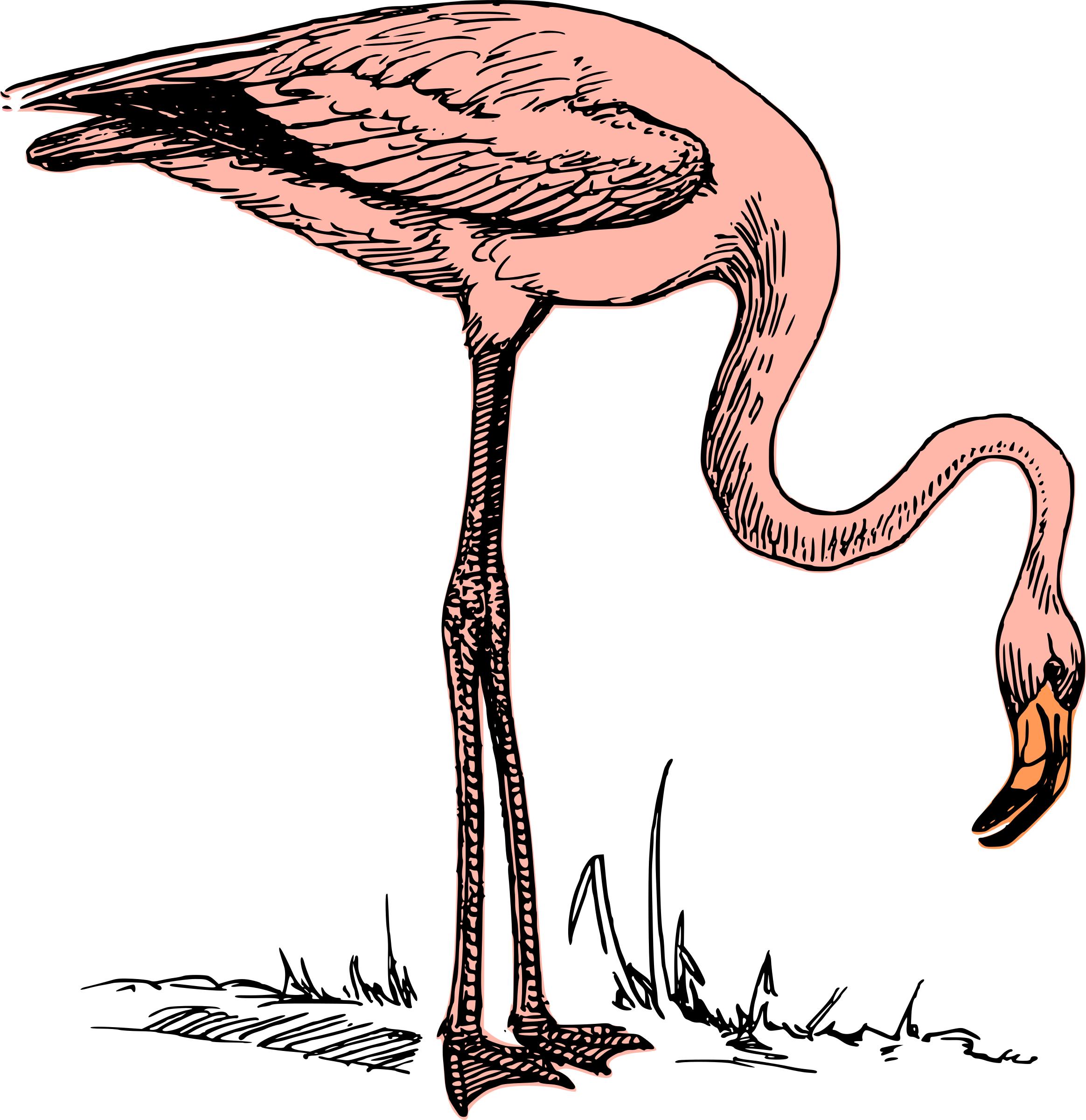 2328x2400 Pink Flamingo Icons Png