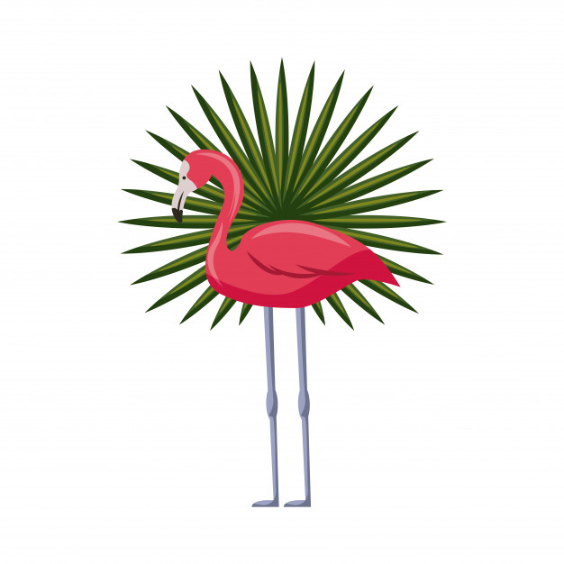 626x626 Pink Flamingo Icon Vector Premium Download