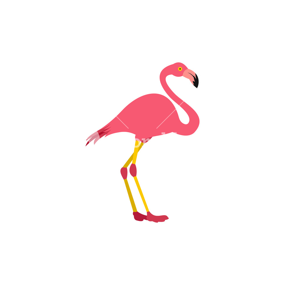 1000x1000 Pink Flamingo Icon In Flat Style On A White Background Royalty