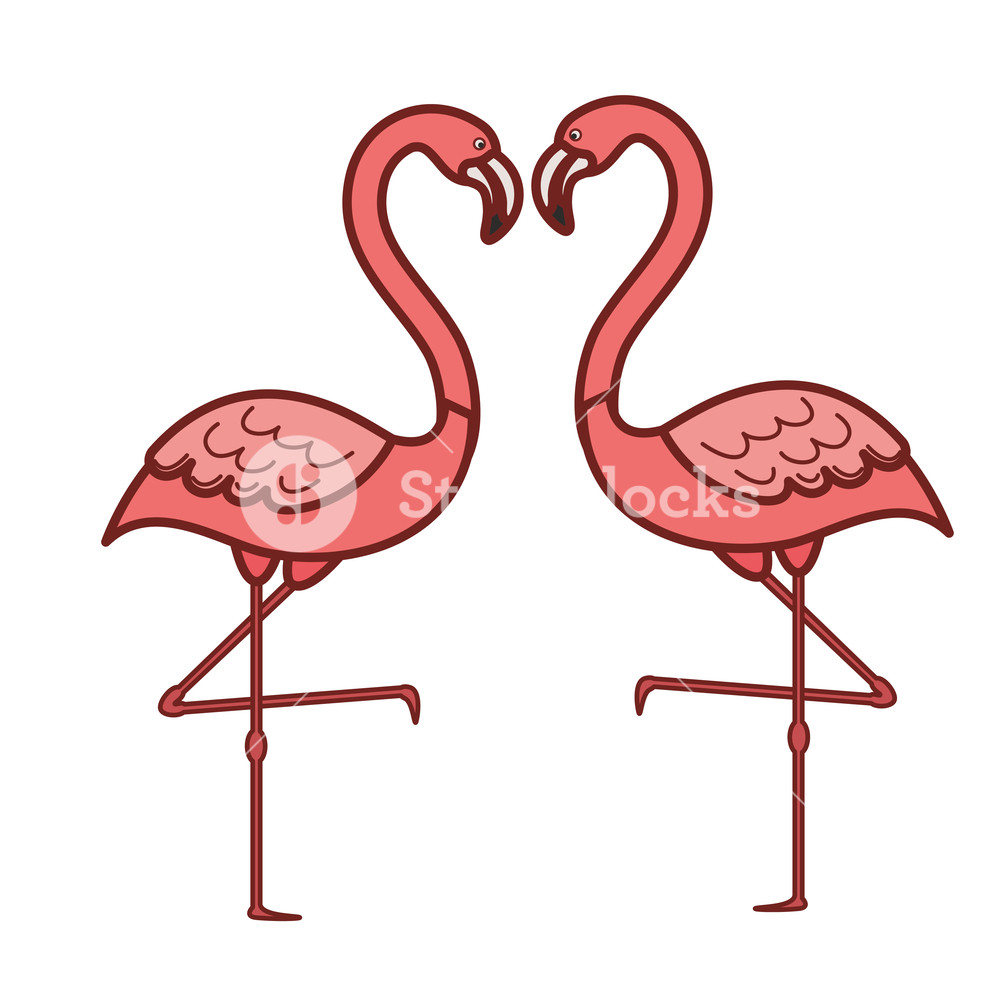 1000x1000 Pink Flamingo Isolated Icon Vector Illustration Design Royalty