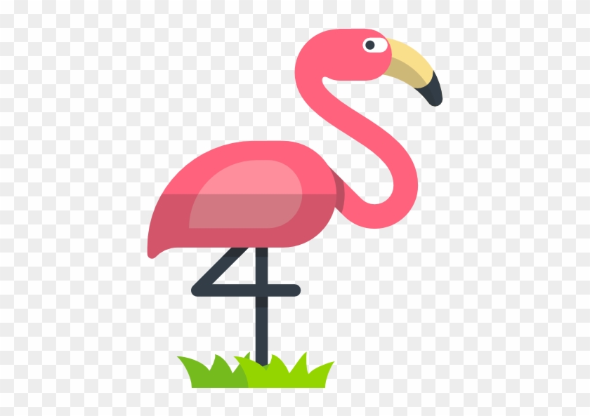 840x593 Flamingo, Bird, Side View, Brazil Set, Tall, Animals