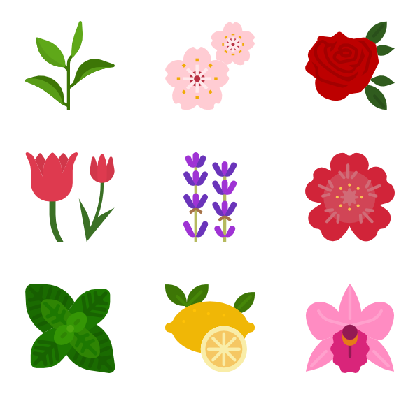 600x564 Flower Icons