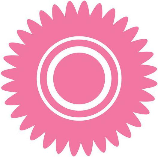 527x526 Geometric Flower Icon