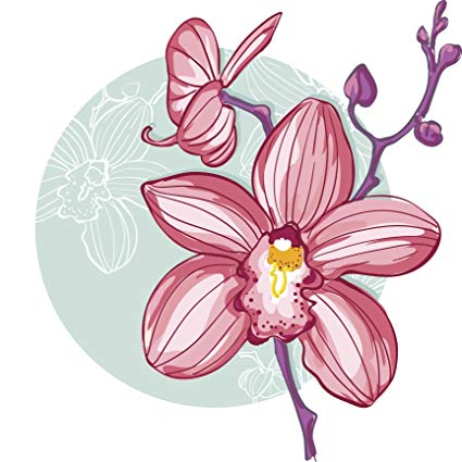 425x425 Pretty Watercolor Delicate Pink Orchid Flower Icon