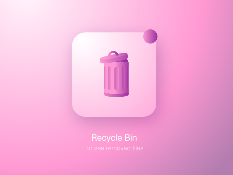 800x600 Recycle Bin