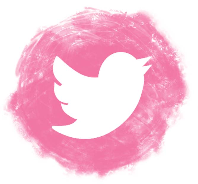 668x624 Pink Twitter Png Pictures
