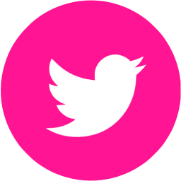 Pink Twitter Icon At Vectorified Com Collection Of Pink Twitter Icon Free For Personal Use