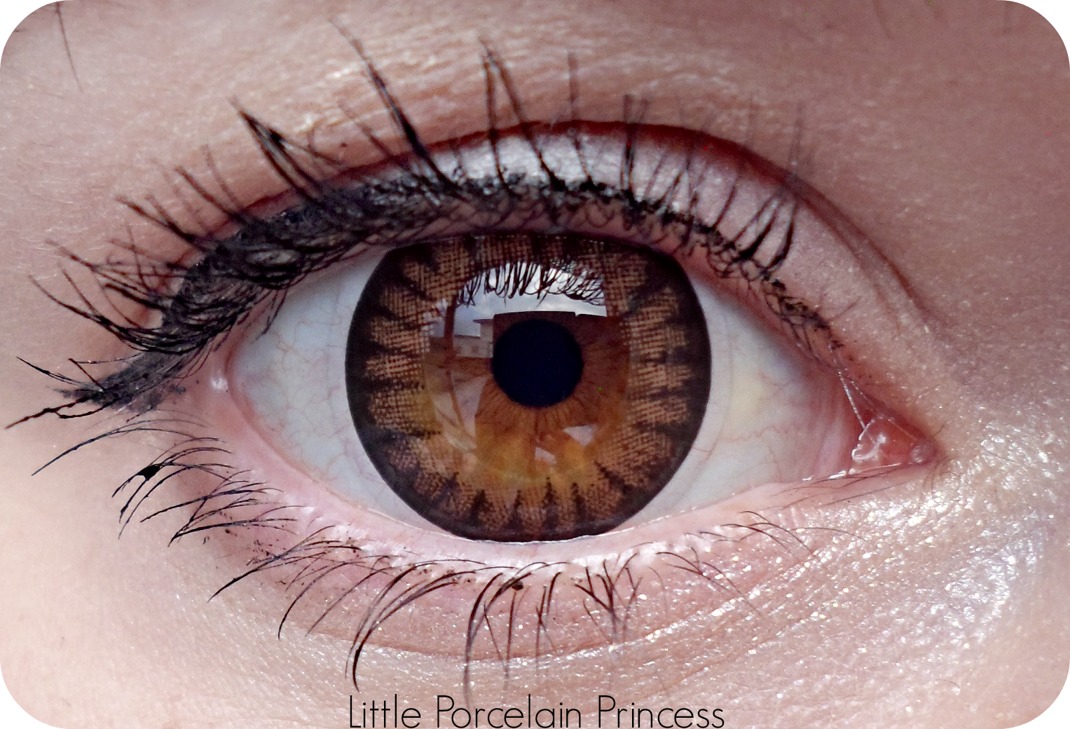 1527x1040 Little Porcelain Princess Store Review Pinkicon