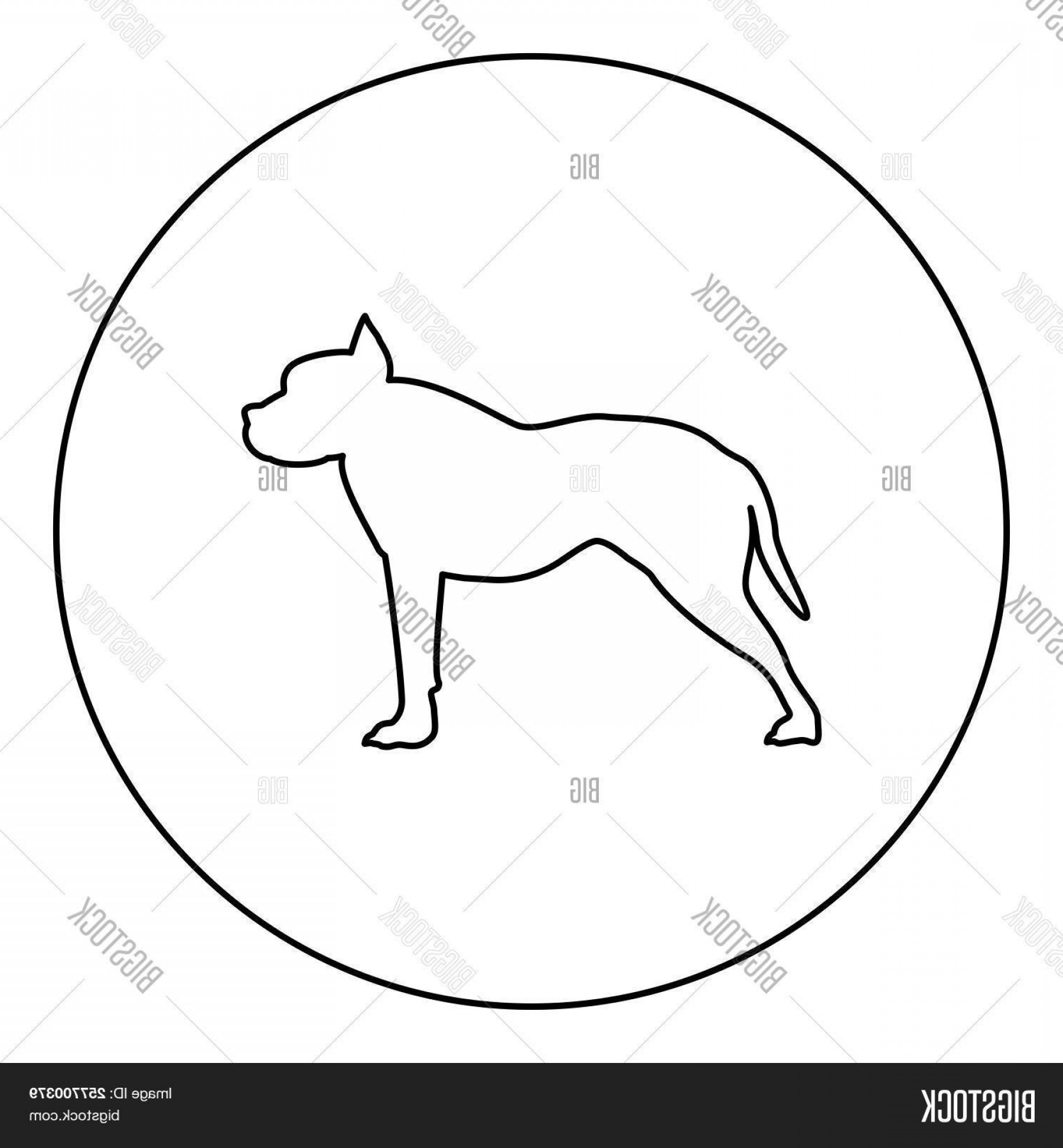 1800x1944 Stock Vector Pit Bull Terrier Icon Black Color In Round Circle