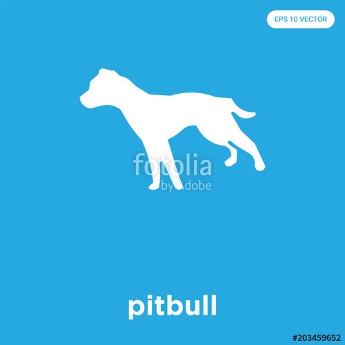 500x500 Pitbull Icon Isolated On Blue Background Stock Image And Royalty