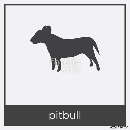 500x500 Pitbull Icon Isolated On White Background Stock Image And Royalty