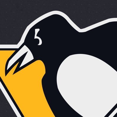 400x400 Pittsburgh Penguins