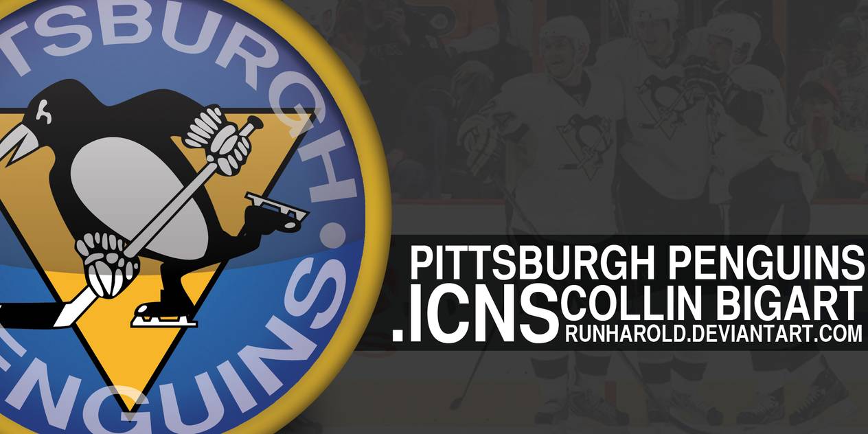 1264x632 Pittsburgh Penguins Icon