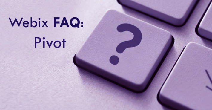 710x368 Webix Faq Pivot