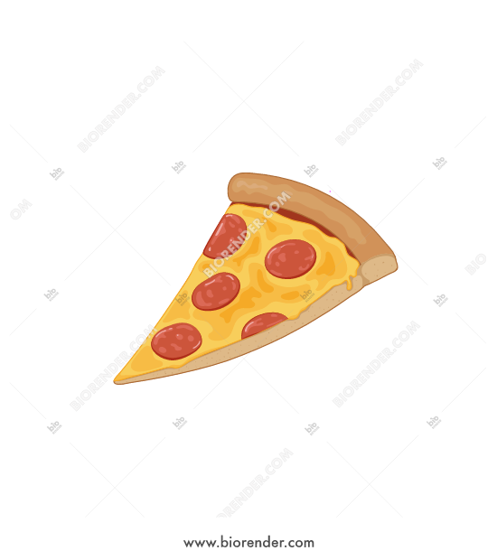 Biorender Pizza Slice 550x620 Biorender Pizza Slice