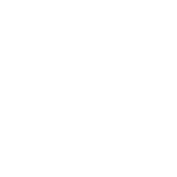 256x256 White Planet Icon