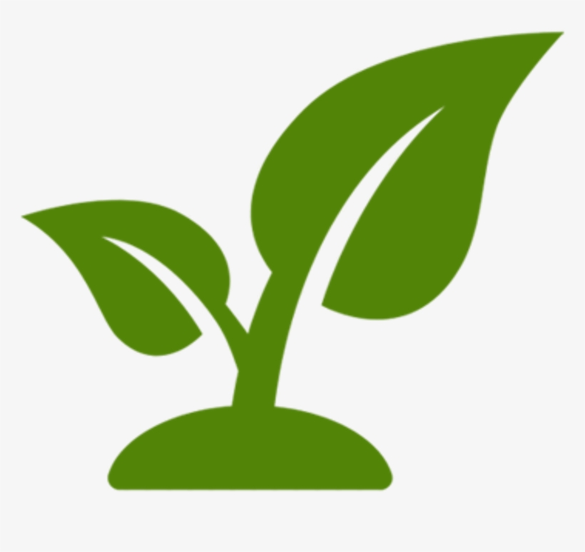 Plant Icon at Vectorified.com | Collection of Plant Icon free for ...