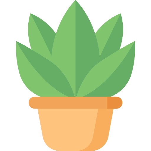 512x512 Plant