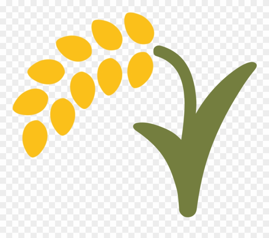 880x777 Rice Plant Icon Png Clipart