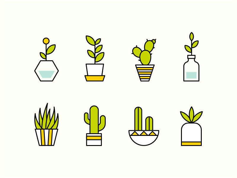 800x600 Plants Icon