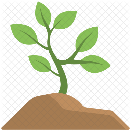 512x512 Baby Plant Icon Of Flat Style