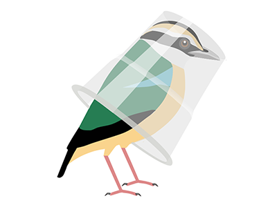 400x300 Plastic Free Icon