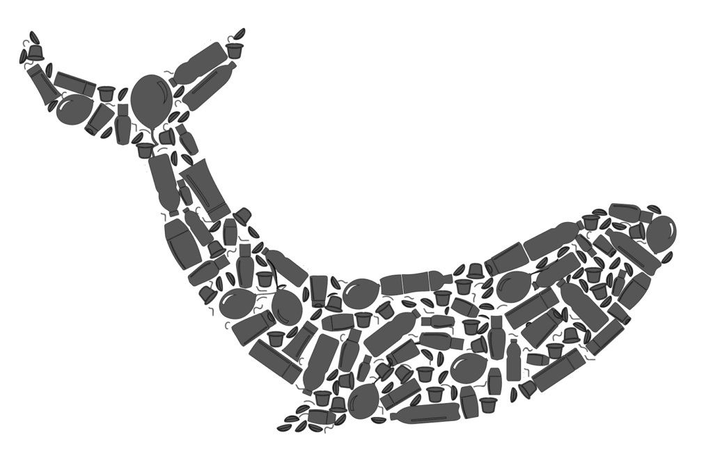 1024x681 Plastic Pollution Campaign Save Our Shores