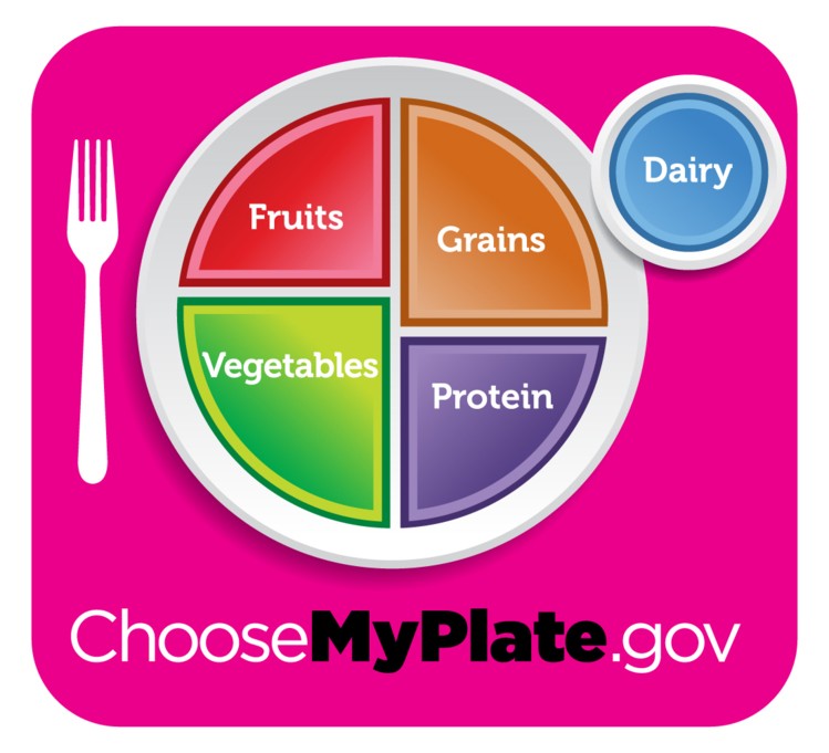 749x681 Rate Myplate Give Us Your Verdict On Usda's New Food Icon