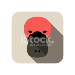 300x300 Platypus Face Flat Icon Animal Icons Stock Vectors