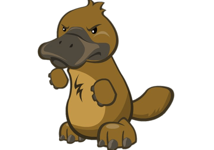 720x507 Platypus Wild Ones Icons Png