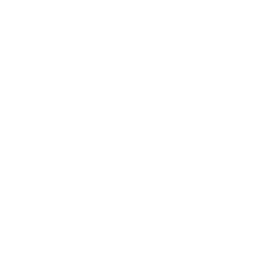 256x256 White Play Icon