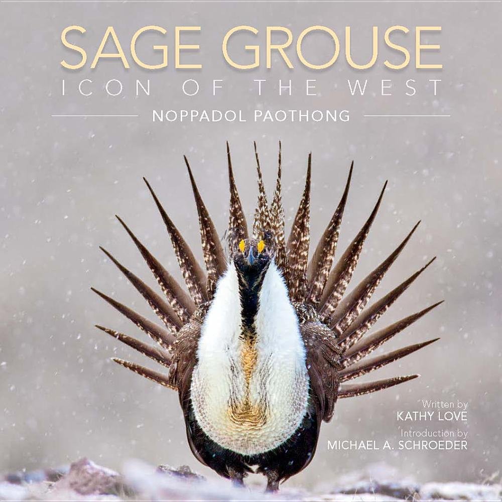 1000x1000 Sage Grouse Icon Of The West