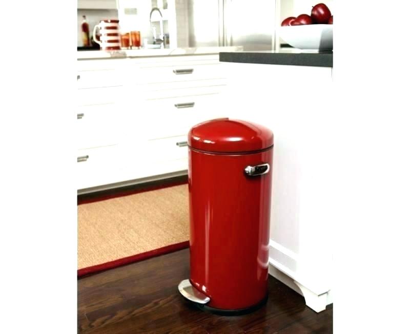 800x652 Red Trash Cans Family Dollar Does Tucker Pull Metal Can With Lid