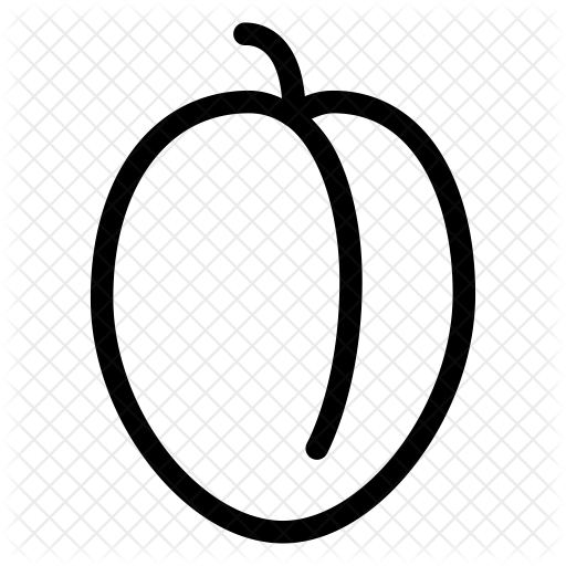512x512 Plum Icon Of Line Style