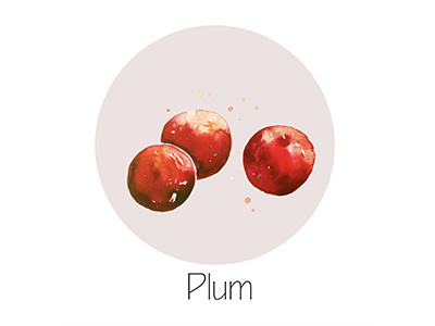 400x300 Plum