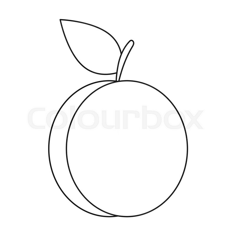 800x800 Plum Icon In Outline Style Isolated On Stock Vector Colourbox