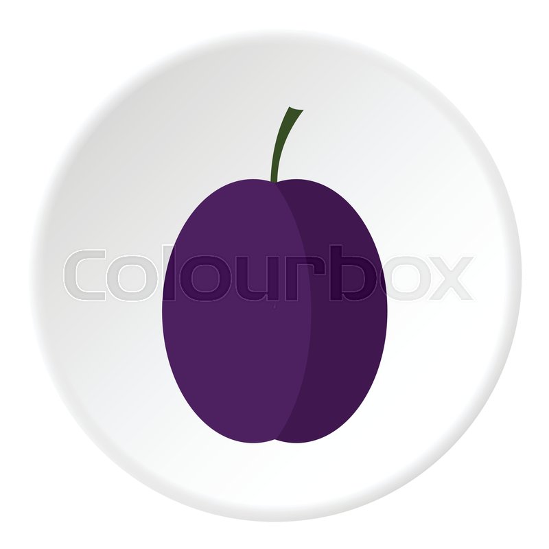 800x800 Plum Icon Flat Illustration Of Plum Stock Vector Colourbox