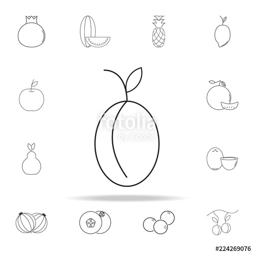 500x500 Plum Icon Fruit Icons Universal Set For Web And Mobile Stock
