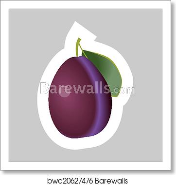 362x382 Vector Plum Icon, Art Print Barewalls Posters Prints
